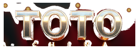 toto china logo